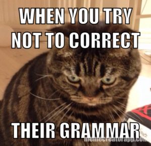 Grammar cat